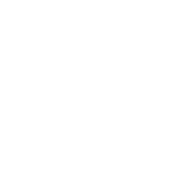 Barrière anti-intrusion Image